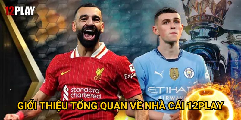 Trang chủ 27 Giới thiệu tổng quan về nhà cái 12Play